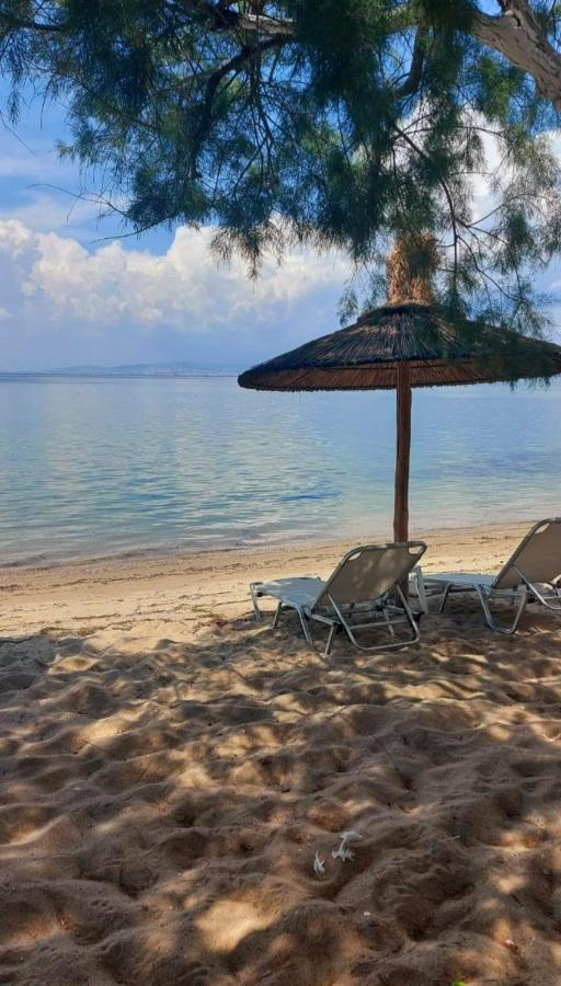 Sun Sea No 3 Daire Peraía Dış mekan fotoğraf